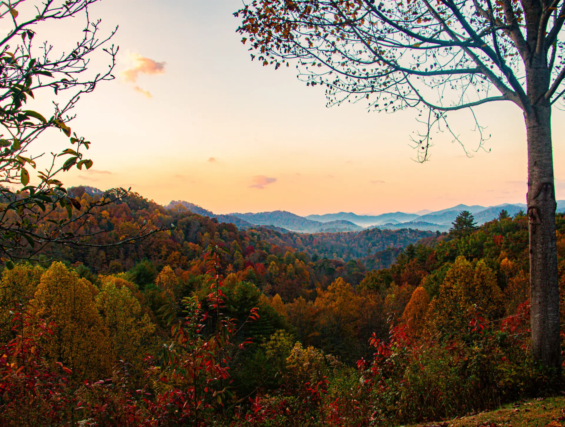 Fall colors in mountains